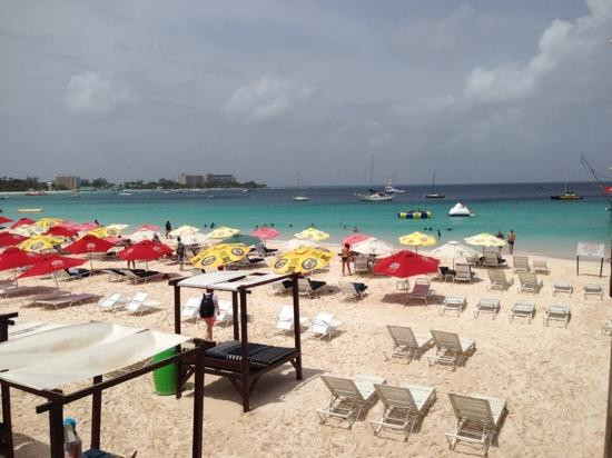 The Boatyard-布里奇顿必去景点