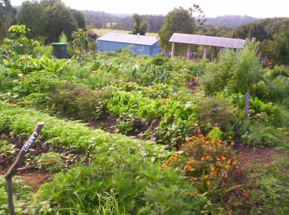 Northbank Community Garden景点图片