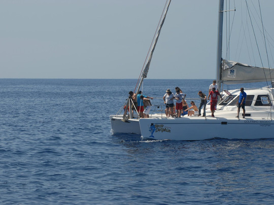 Magic Dolphin-沙尔必去景点