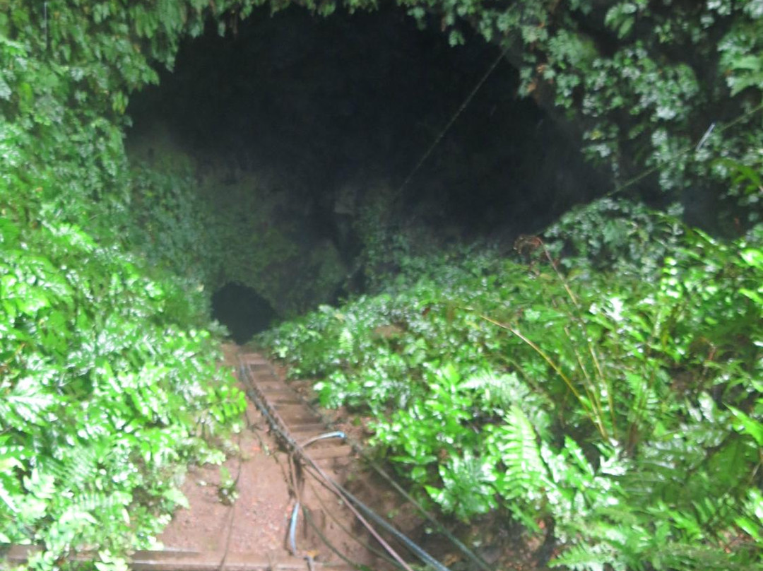 Cueva de Sucre-维里亚米尔港必去景点