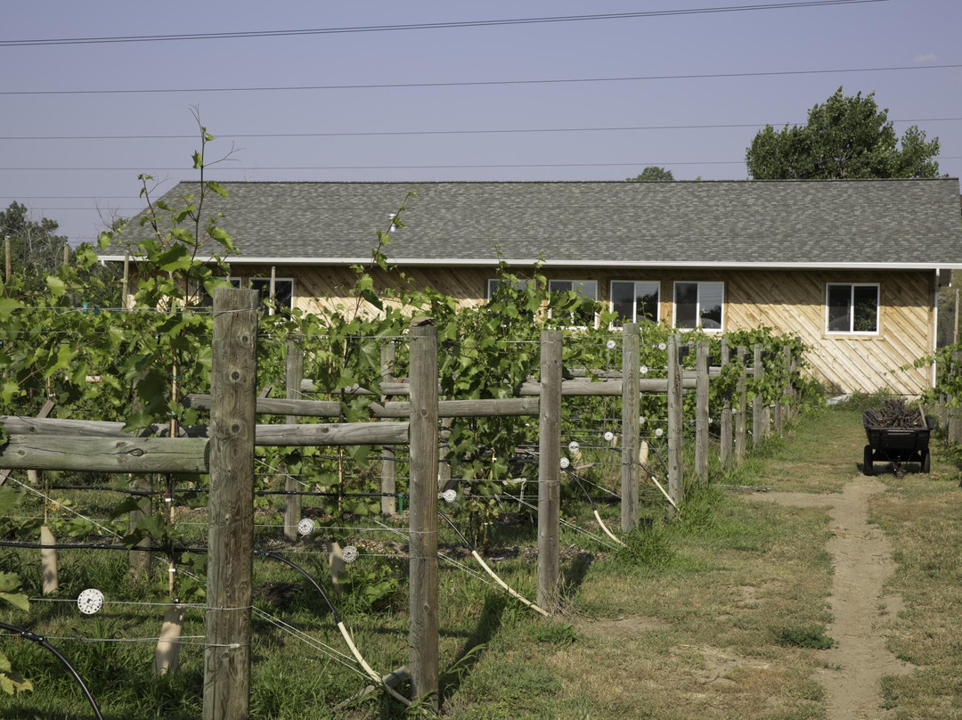 Tongue River Winery-迈尔斯城必去景点