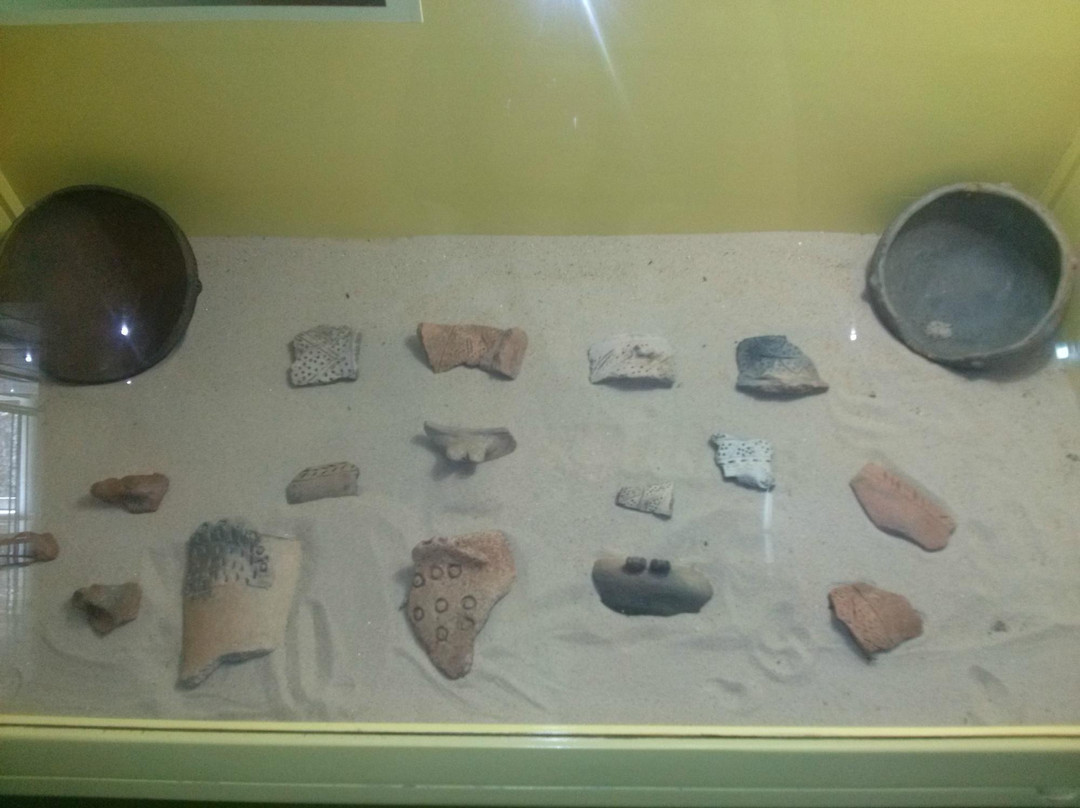 Eco Museo del Caroni-圭亚那城必去景点