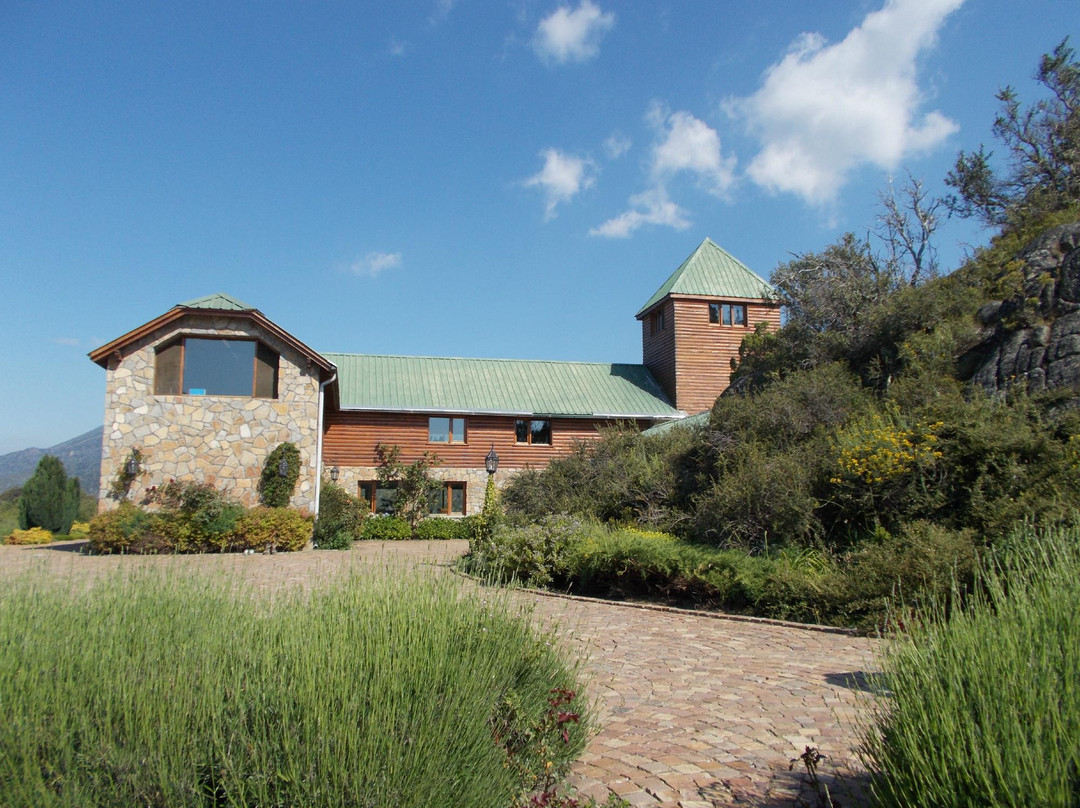 Piedra Pintada主图