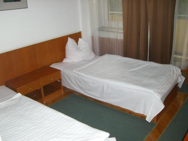 Geovita Lądek Zdrój-客卧