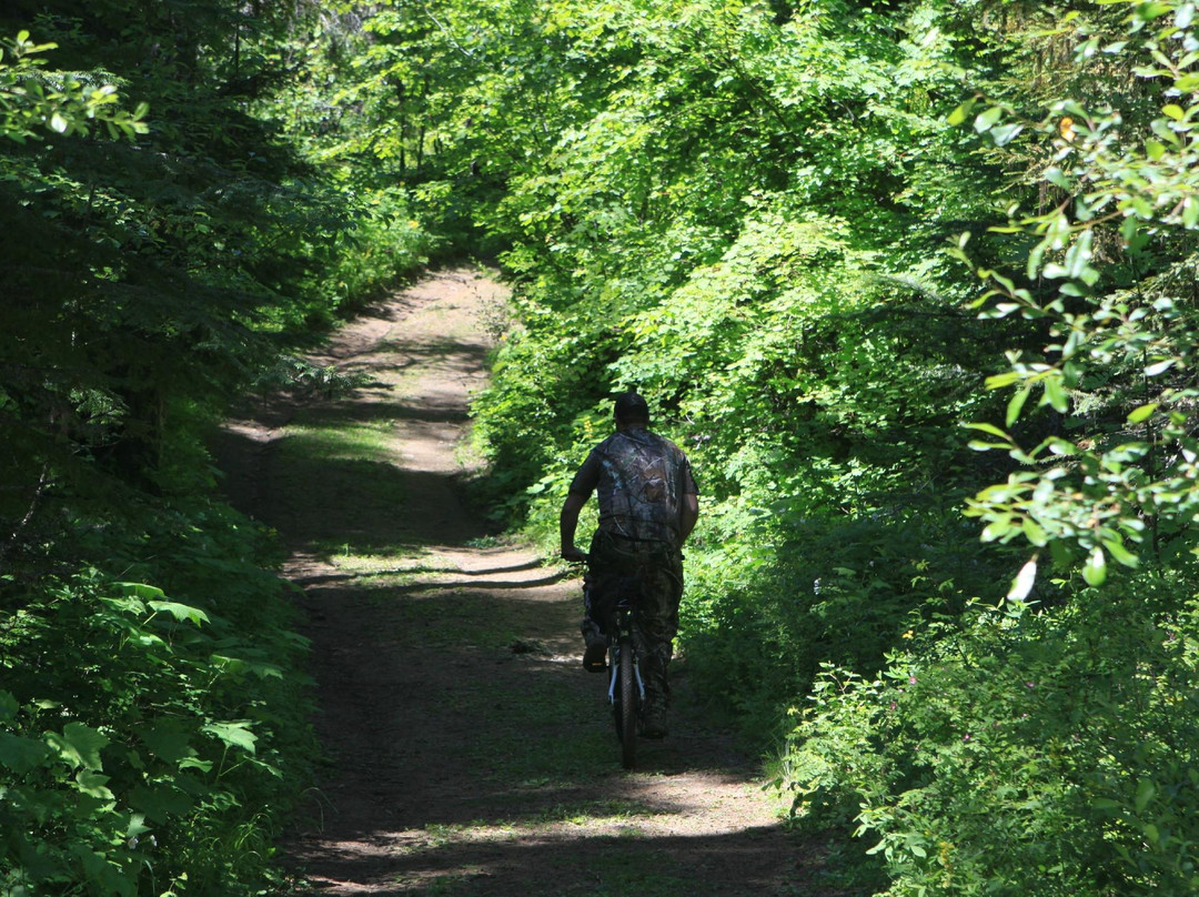Meacham旅游攻略图片