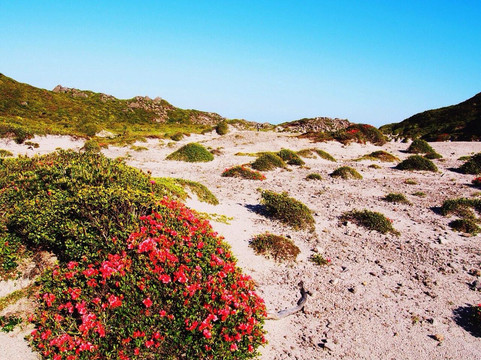 Mt. Tenjo-神津岛村必去景点