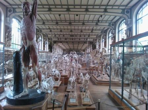 自然历史博物馆-巴黎必去景点