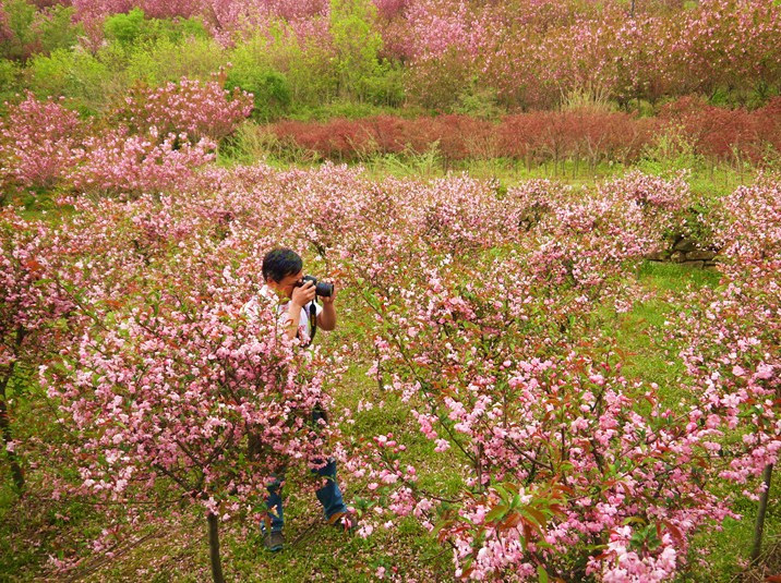 浙江四明山-余姚市必去景点