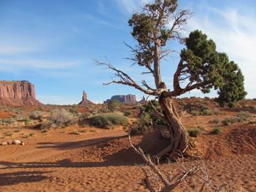 Wildcat Trail-纪念碑公园必去景点