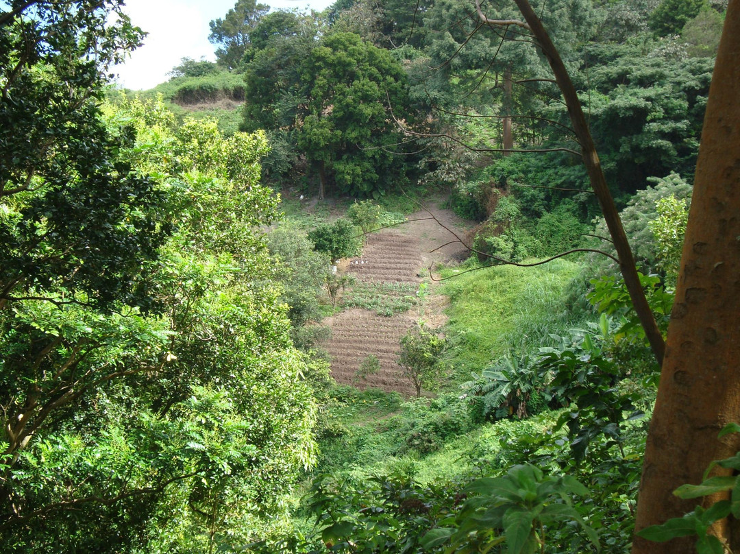 Cot Trail-蒙特塞拉特必去景点