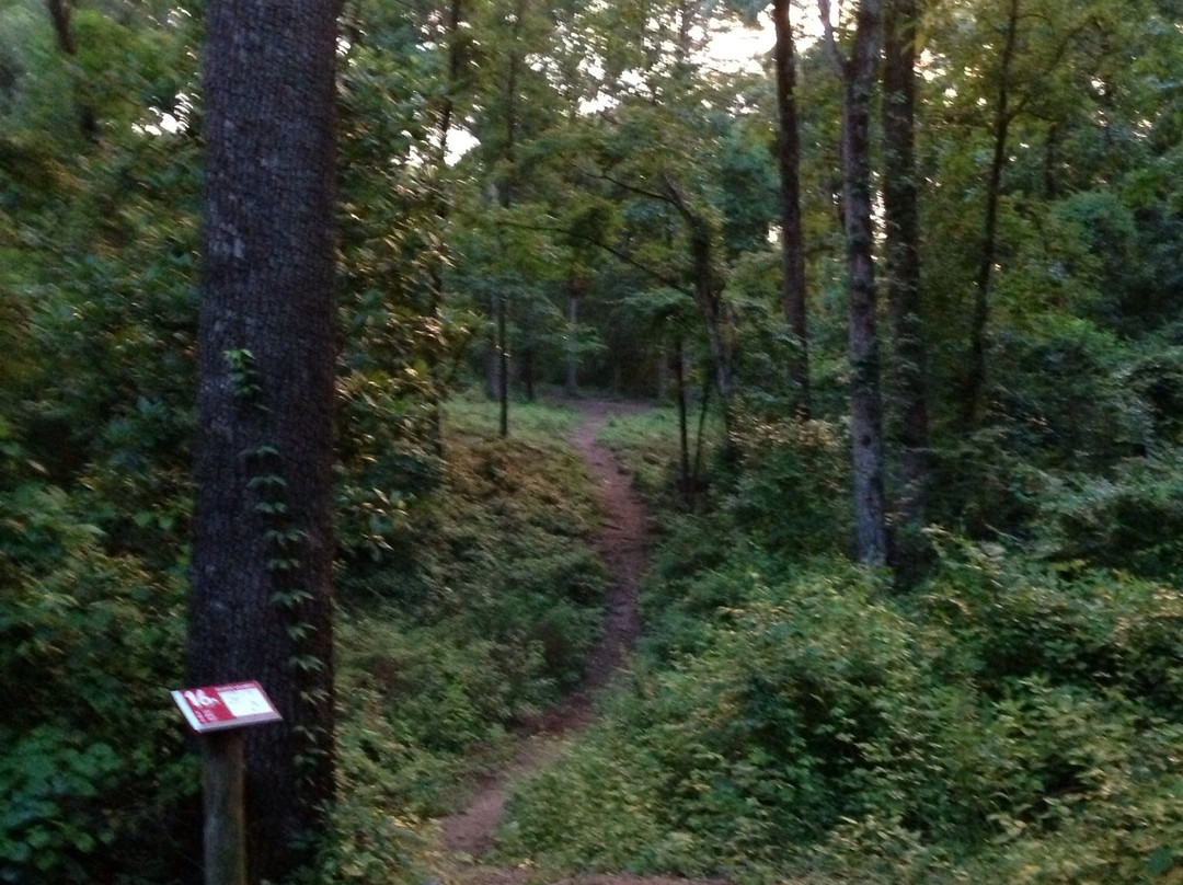 Bower's Park Disc Golf Course景点图片