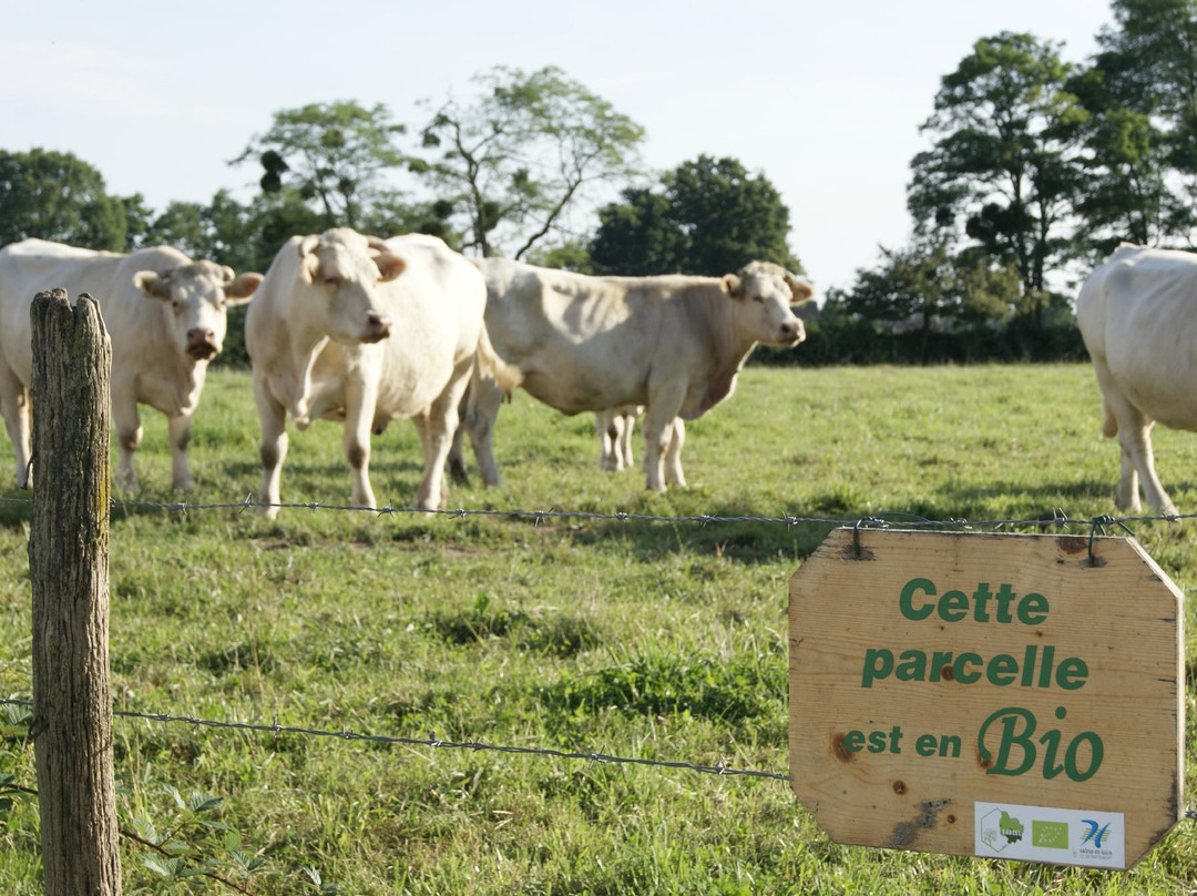 Ferme des Bruyères主图
