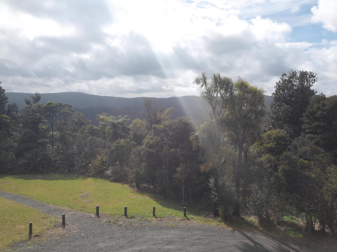 Waipoua Forest景点图片