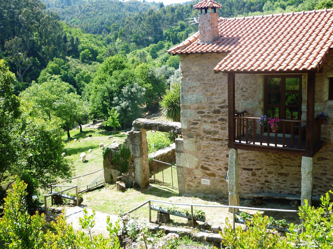 Quinta Entre Sebes