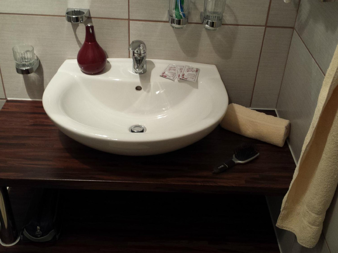 加尼索莱尔酒店主图