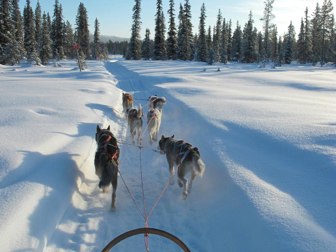 Active Lapland-基律纳必去景点