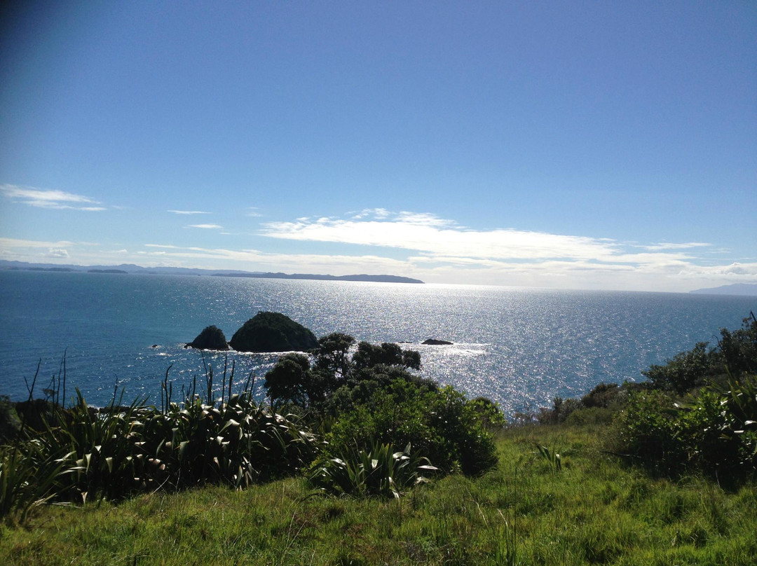 蒂利蒂利马唐伊岛-奥克兰中心地区必去景点