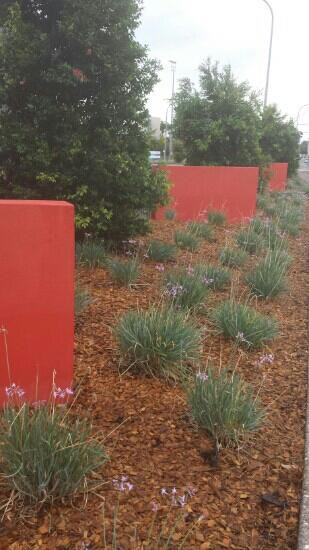 Logan North Library-Underwood必去景点