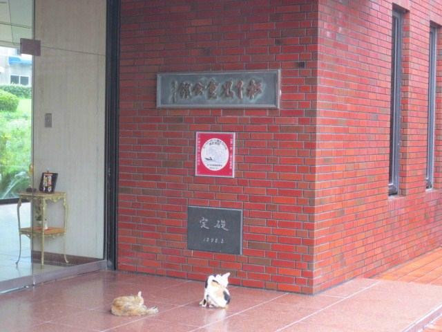 Matsushita Art Museum-雾岛市必去景点