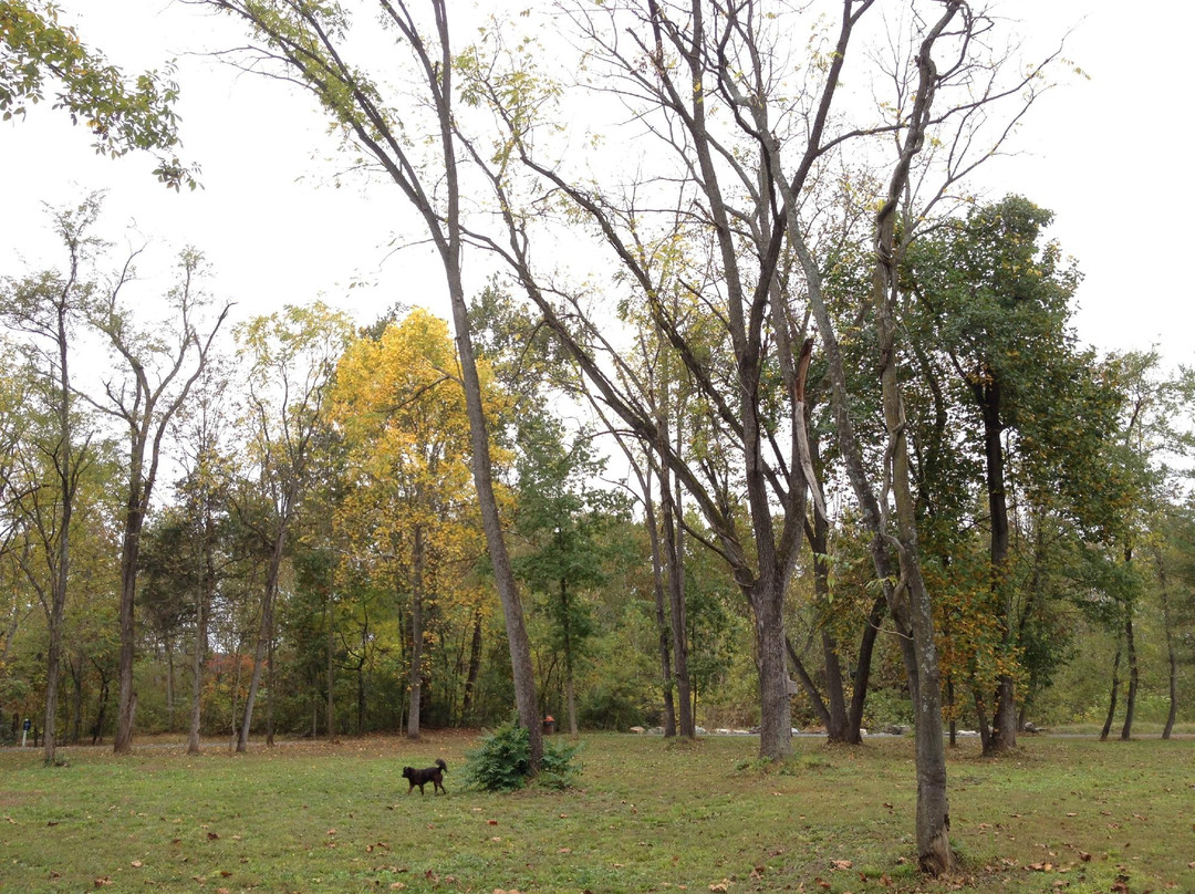 Natural Chimneys Park and Campground景点图片