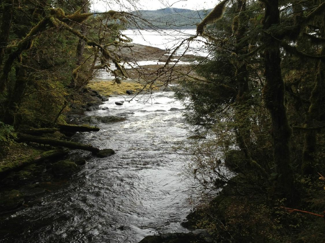 Settlers Cove State Recreational Site-凯奇坎必去景点