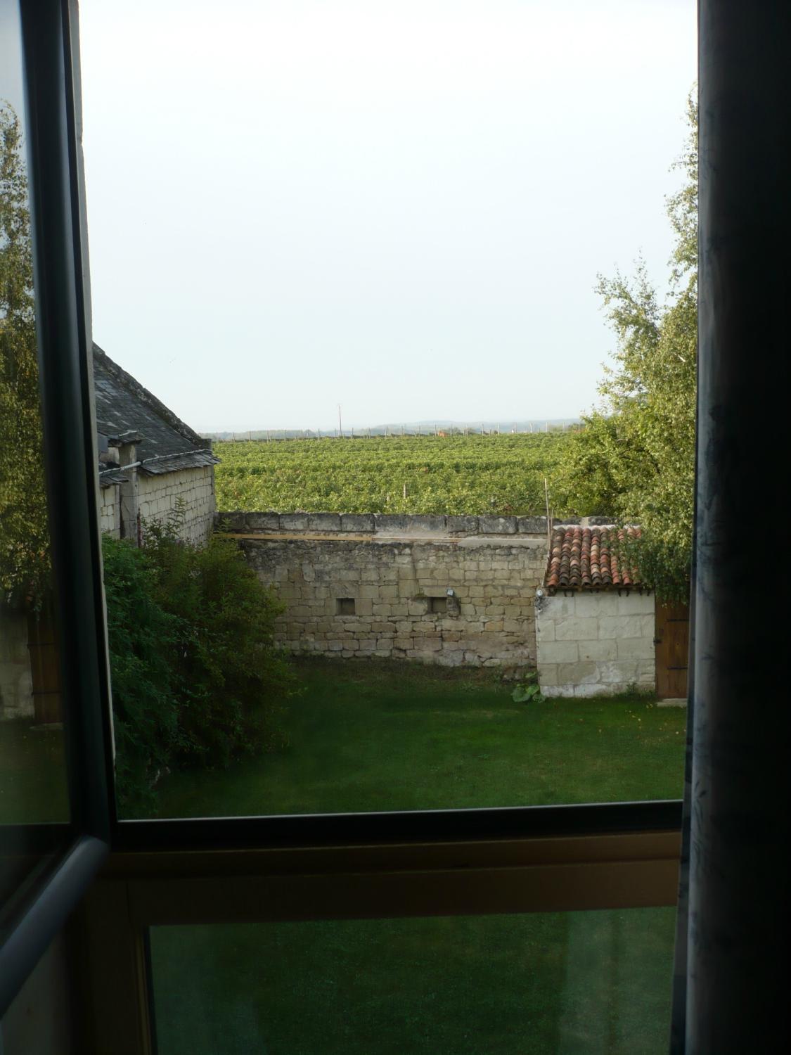Le Clos à Bizay-酒店景观