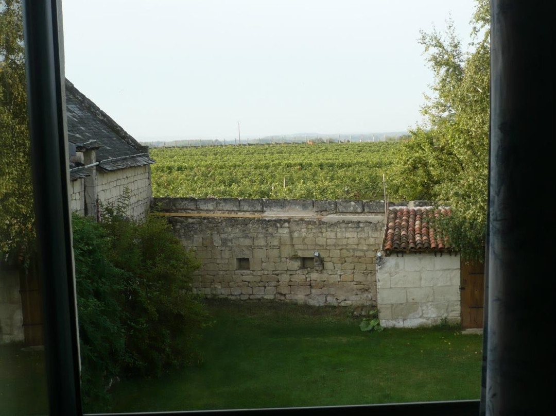 Le Clos à Bizay主图