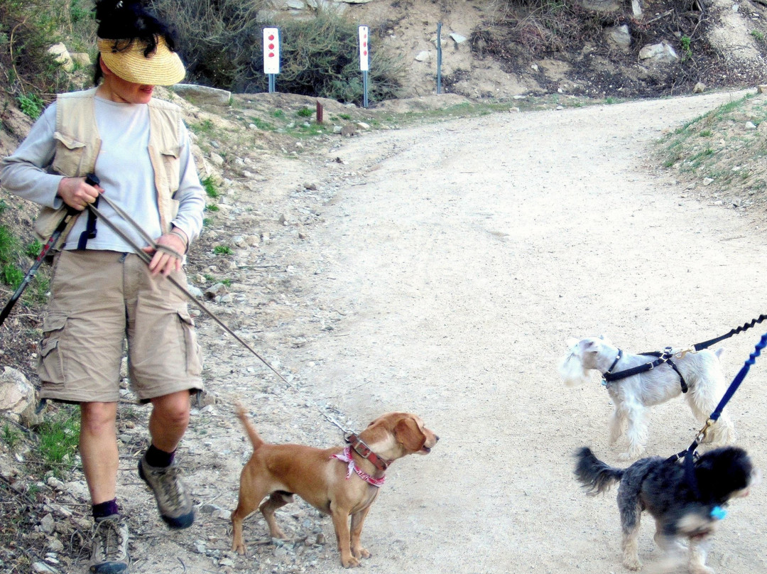 Deukmejian Wilderness Park-格伦代尔必去景点