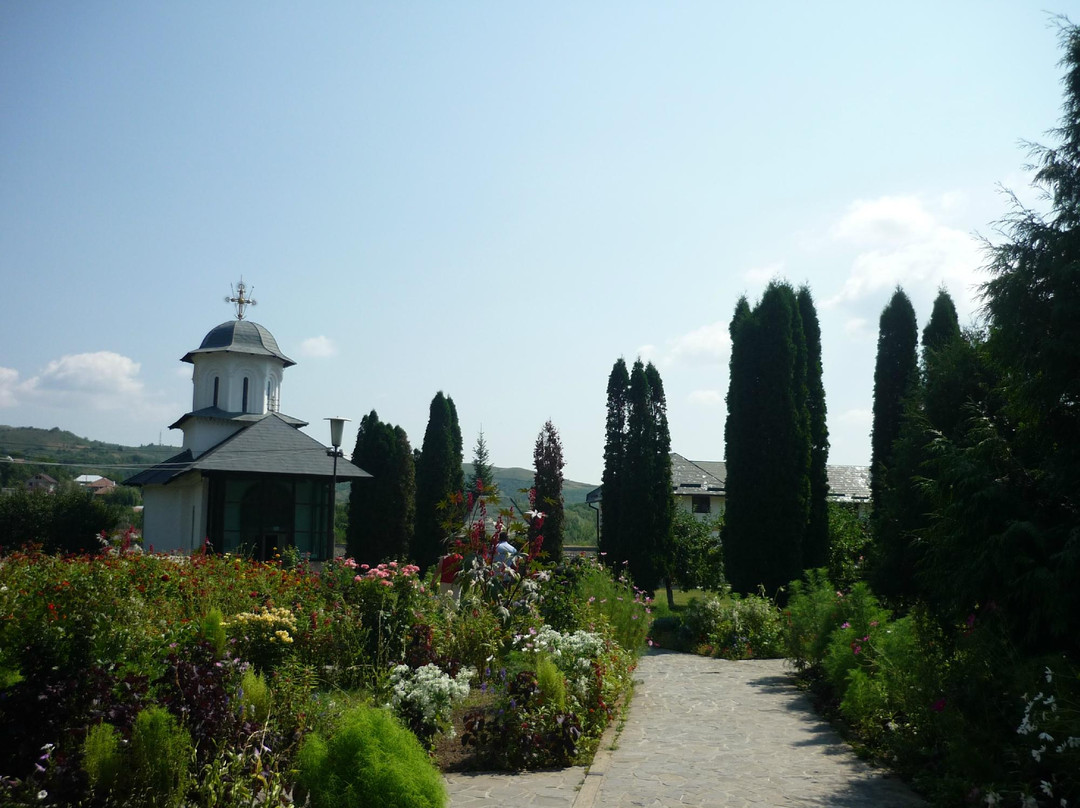 Ostrov Monastery景点图片