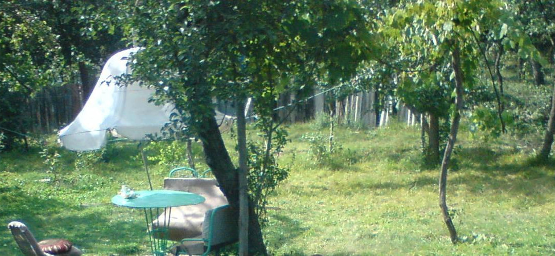Likani Homestay主图
