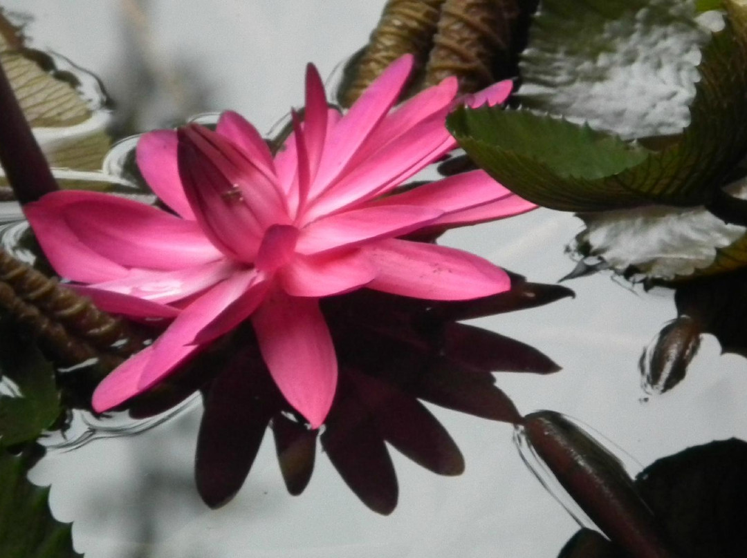 踏缤野生动物保护区-拉哈达图必去景点