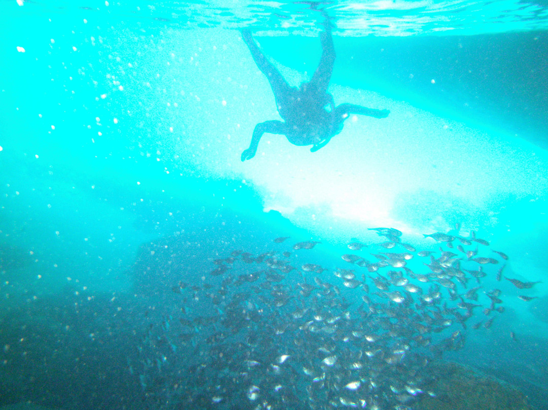 Divers Republic-Sint Willibrordus必去景点