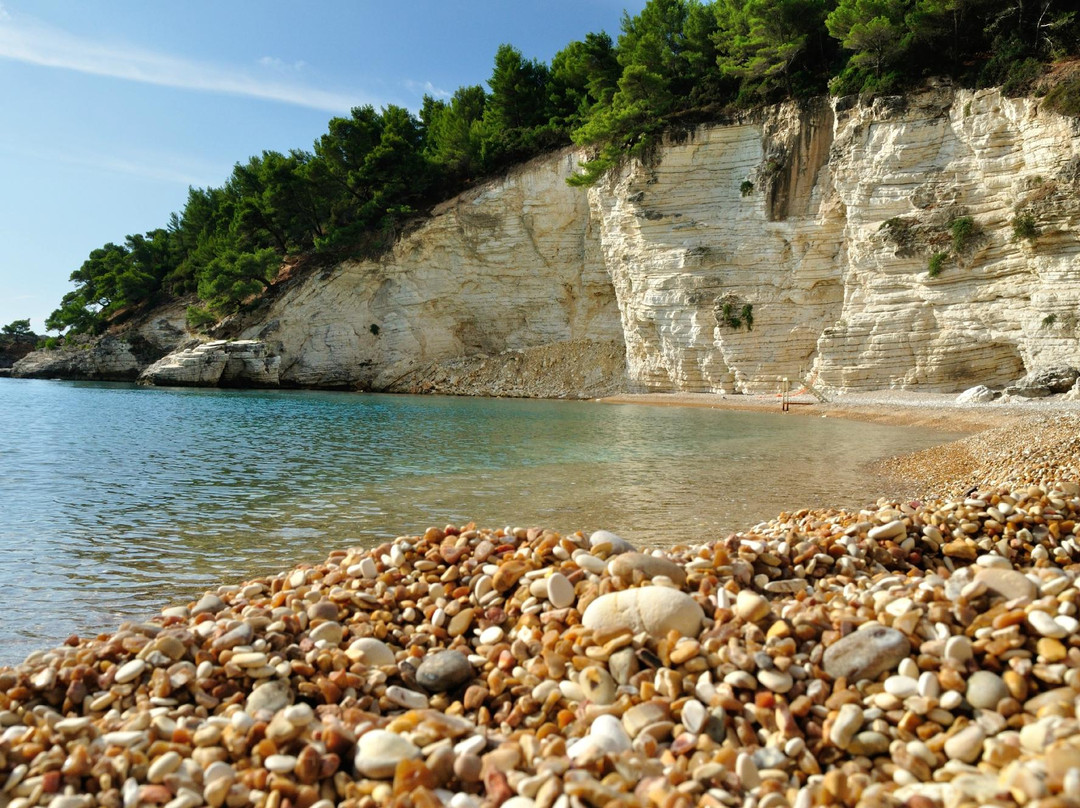 Spiaggia Pugnochiuso-维耶斯泰必去景点