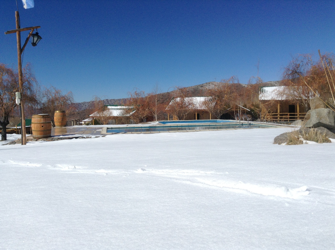 Alto Potrerillos主图