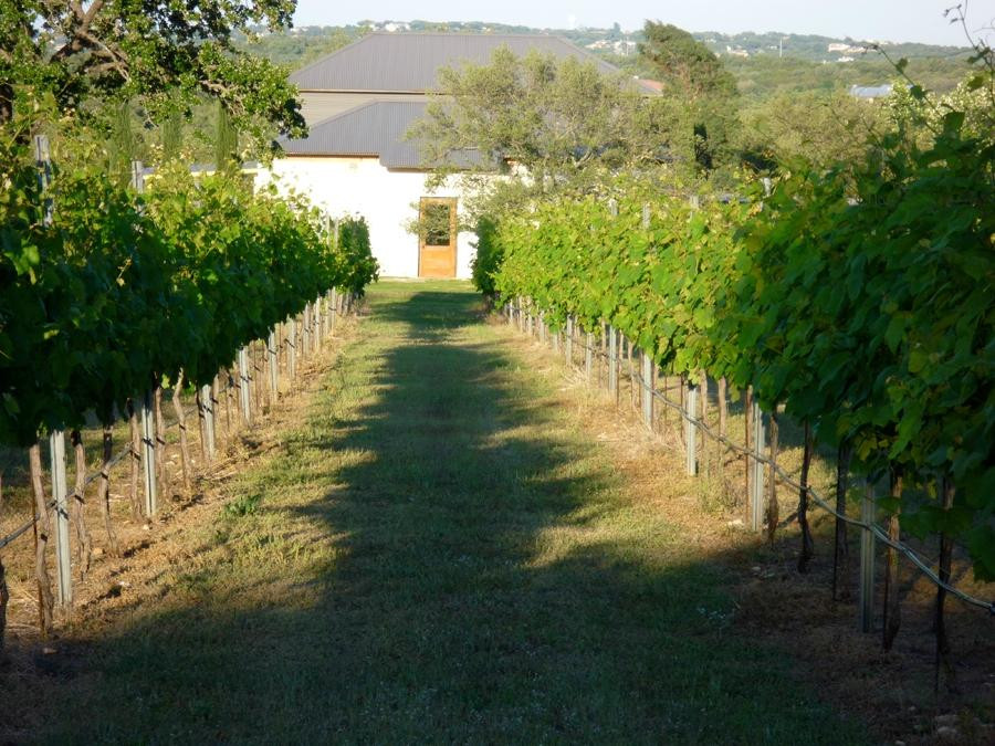 Stone House Vineyard-Spicewood必去景点