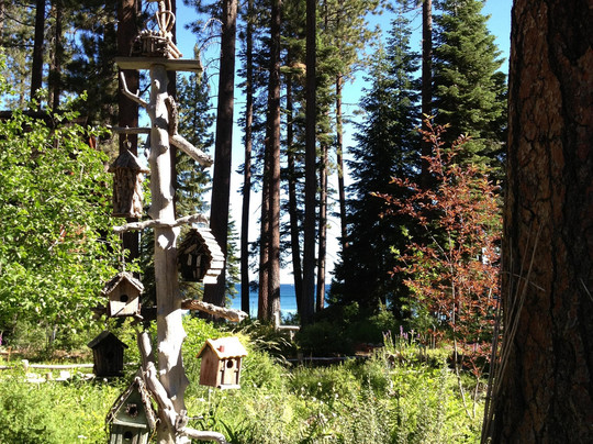 Tallac Historic Site-南太浩湖必去景点