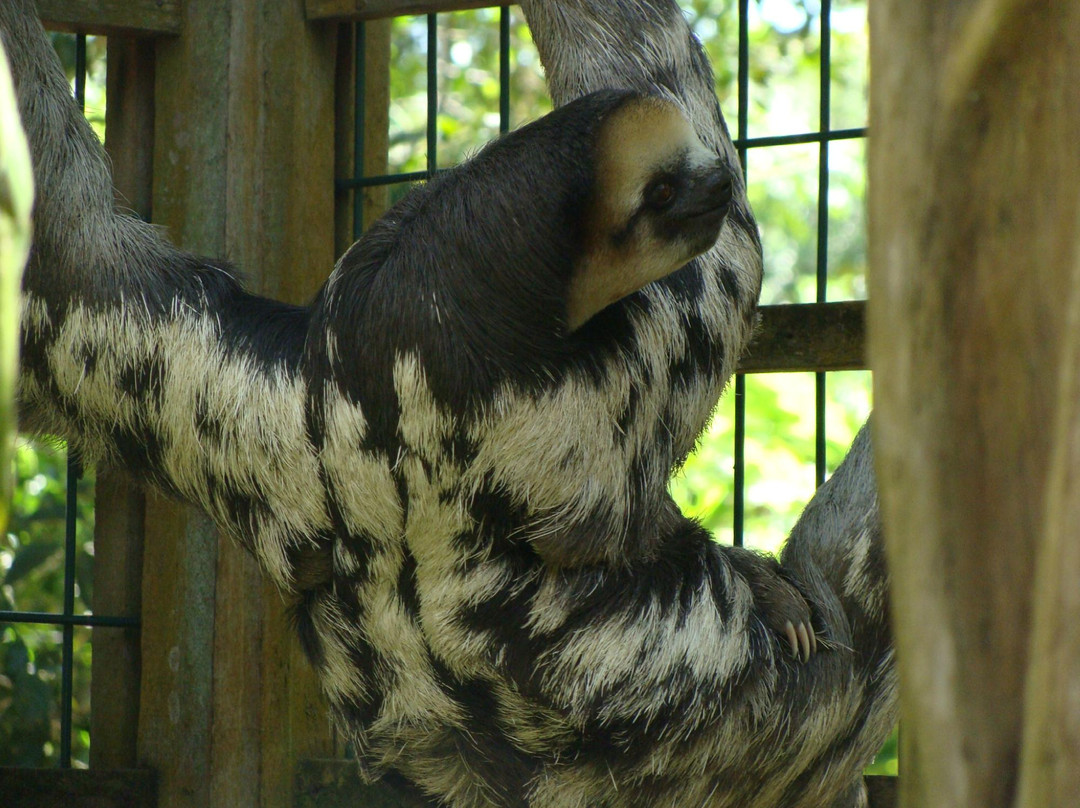 Association Chou Ai-Macouria必去景点