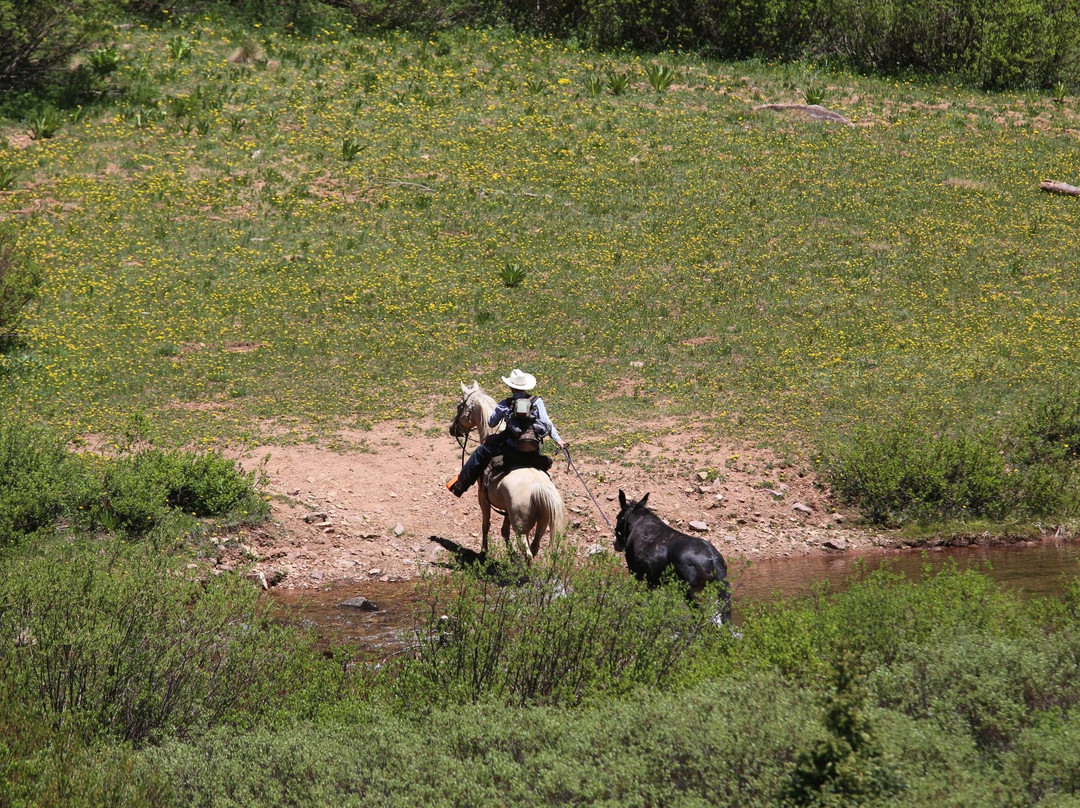 Outwest Guides - Day Tours-Marble必去景点