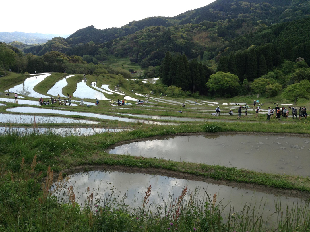 Oyama Rice Terraces-鸭川市必去景点