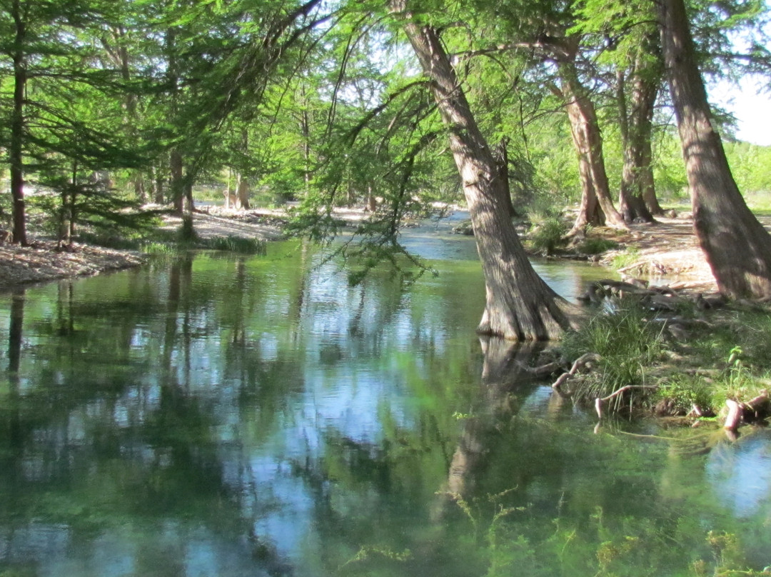 River Bluff Cabins