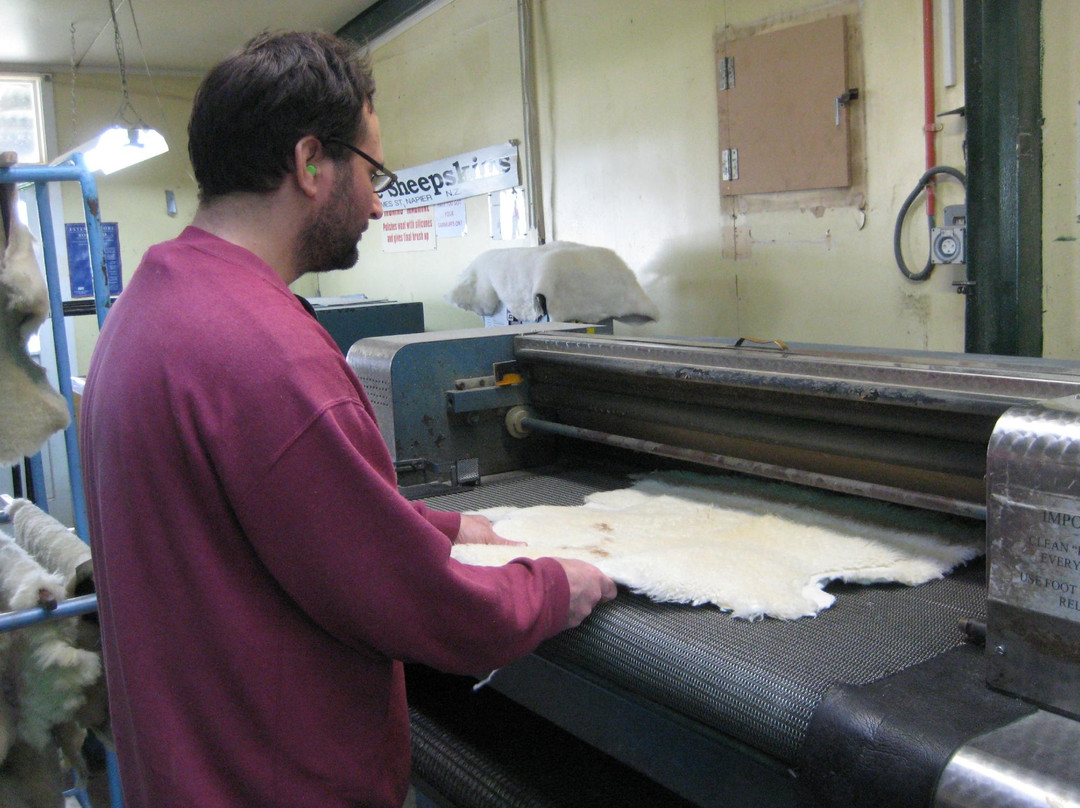 Classic Sheepskin Tannery-纳皮尔必去景点