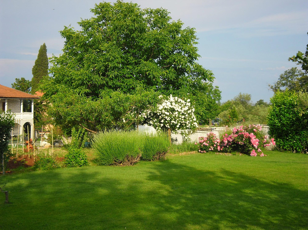 维拉住宿加早餐旅馆主图