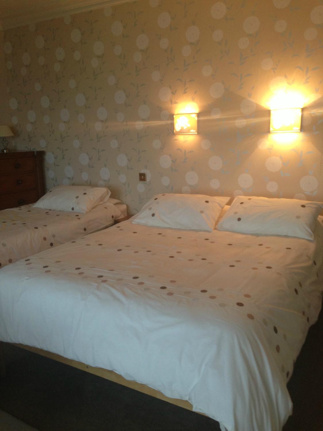 Glanllifon Bed & Breakfast-客卧
