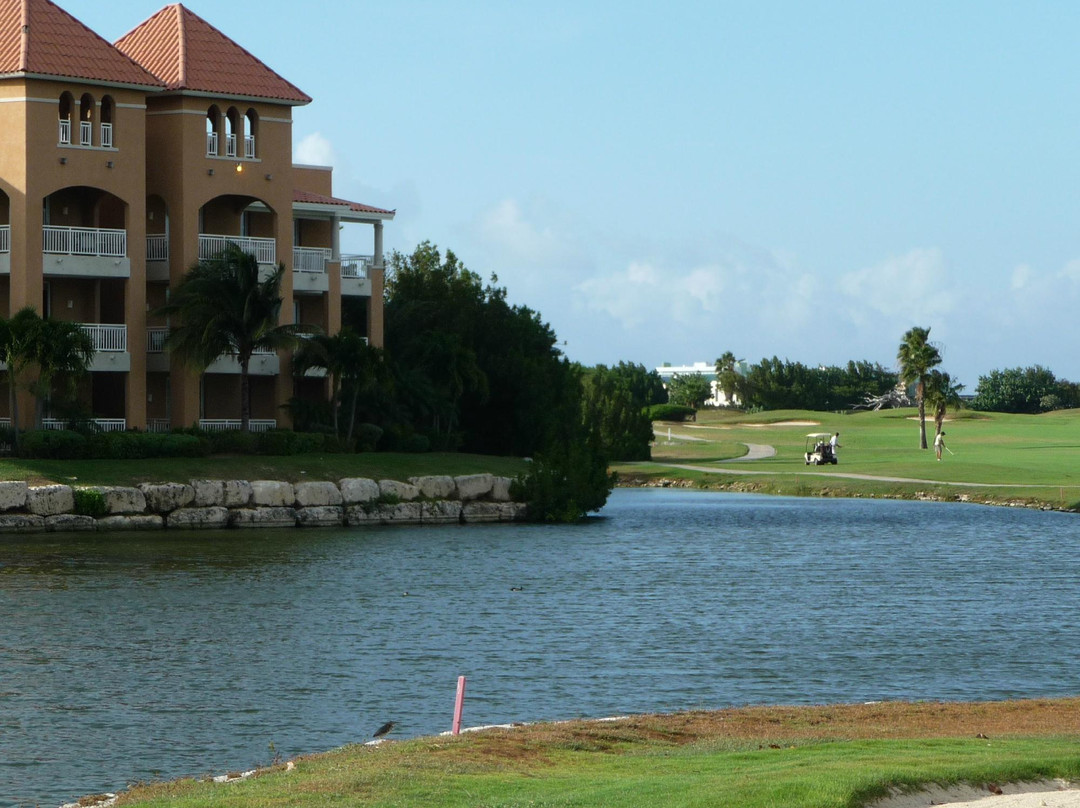 Links at Divi Aruba-奥腊涅斯塔德必去景点