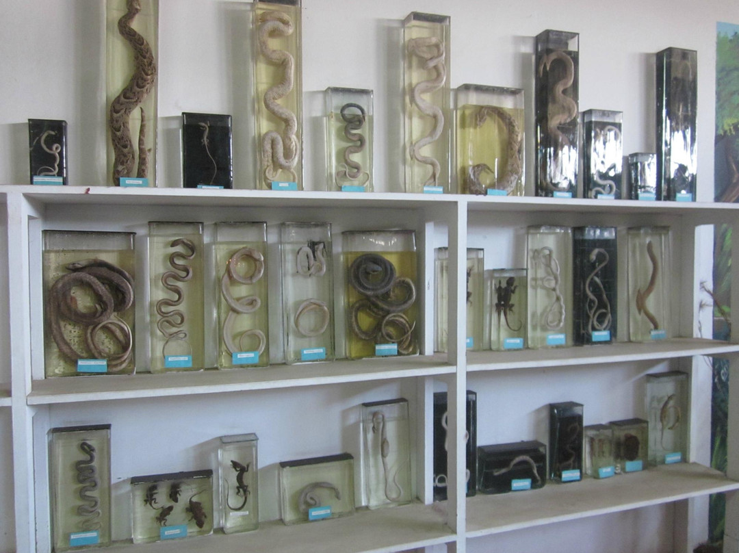 Mozambique City Tours-马布多必去景点