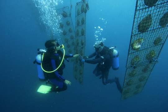 Atlas Pearls North Bali-佩母德兰必去景点