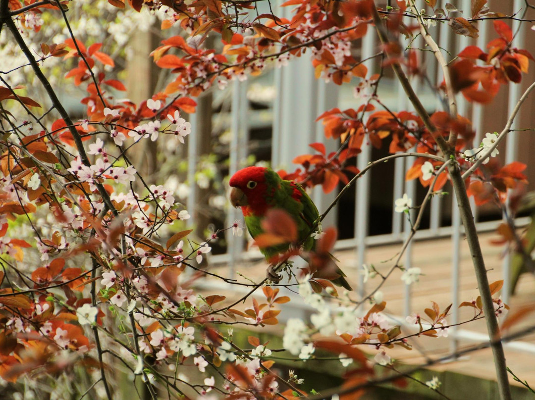 费尔波特步道-旧金山必去景点