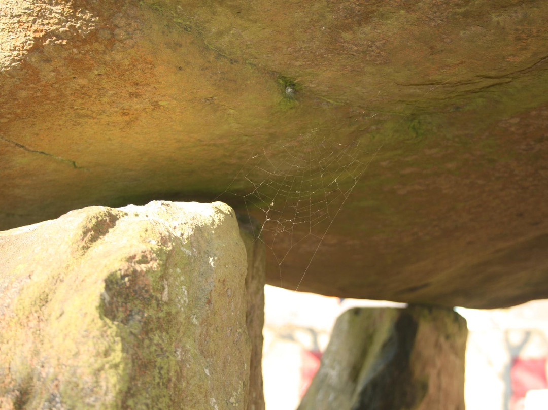 Ballylumford Dolmen景点图片