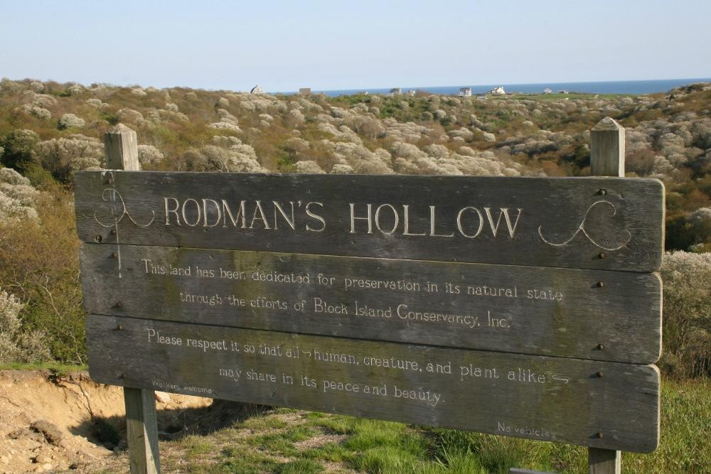 Rodman's Hollow景点图片