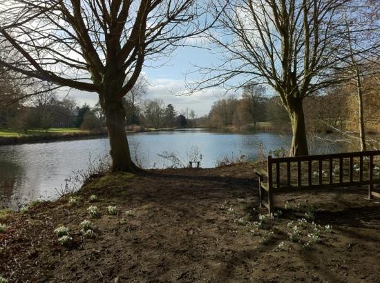 Hinton Ampner House and Garden景点图片